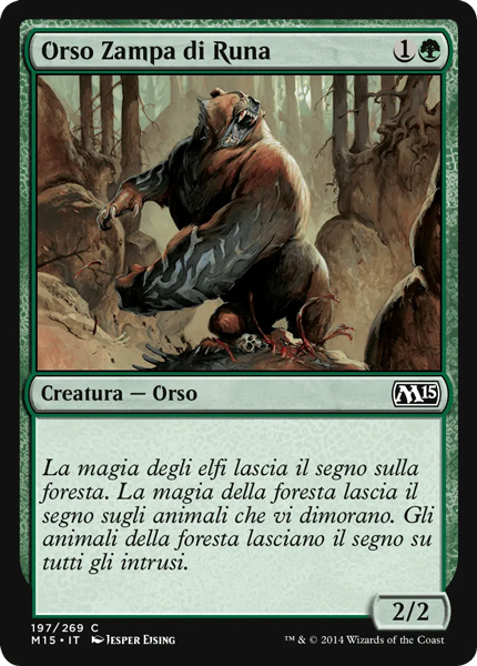 Orso Zampa di Runa
